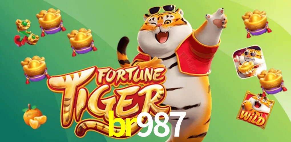 Experiência VIP br987